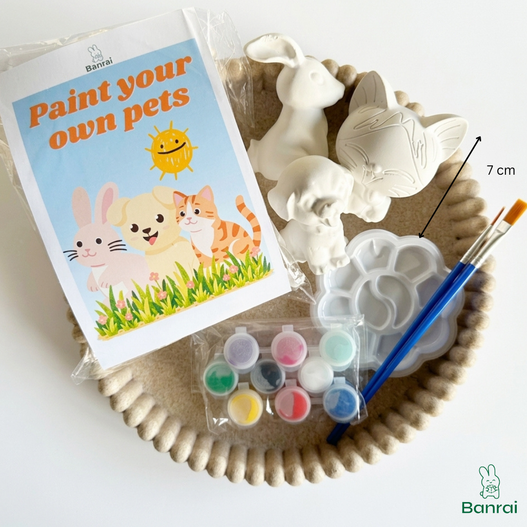 DIY Plaster Painting Kit –  Gips Schilderen
